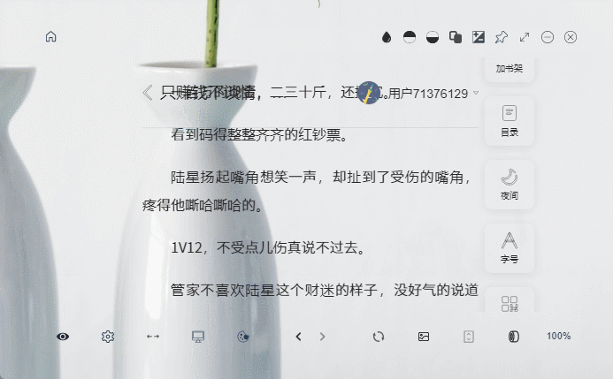 开启番茄小说鼠标移出隐藏