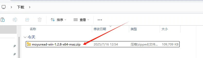 下载的zip文件